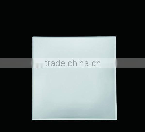 12 inch square plastic plate