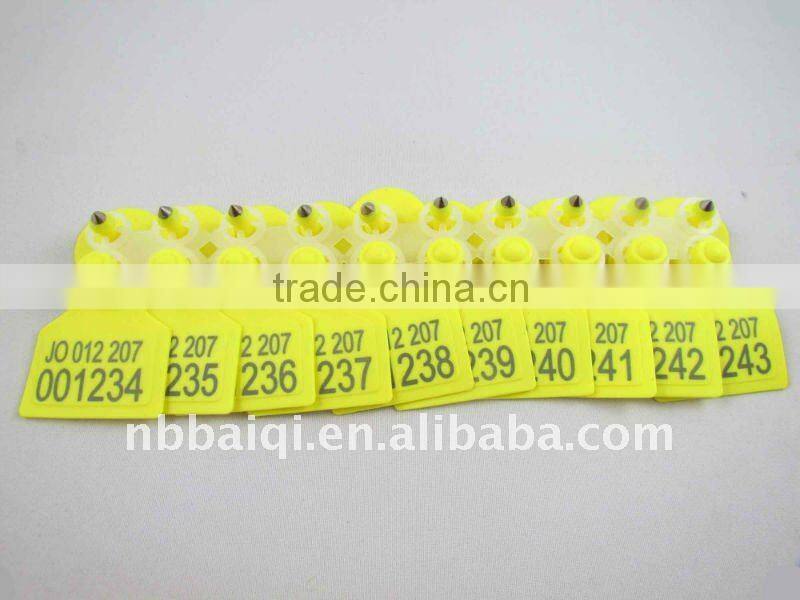 sell animal pig ear tag,laser ear tag for pig with TPU material in 51x43mm