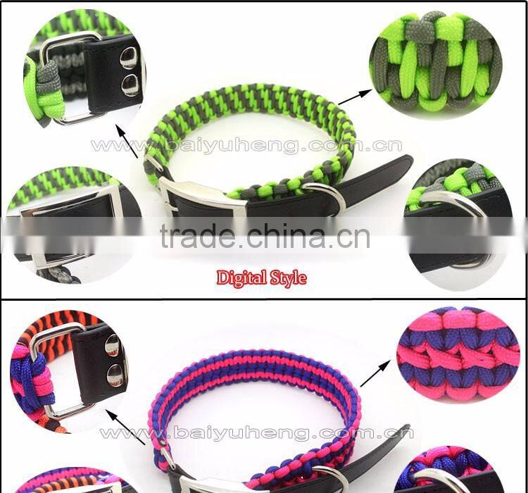 wholesale pet dog training collar leash