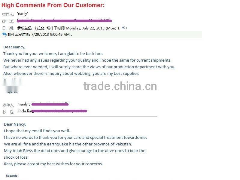 Adjustable polyester belt strap