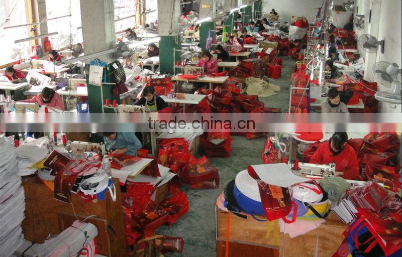 2013 protective dress cover bags