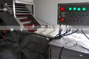 date palm / jujube cleaning, sorting, drying production line