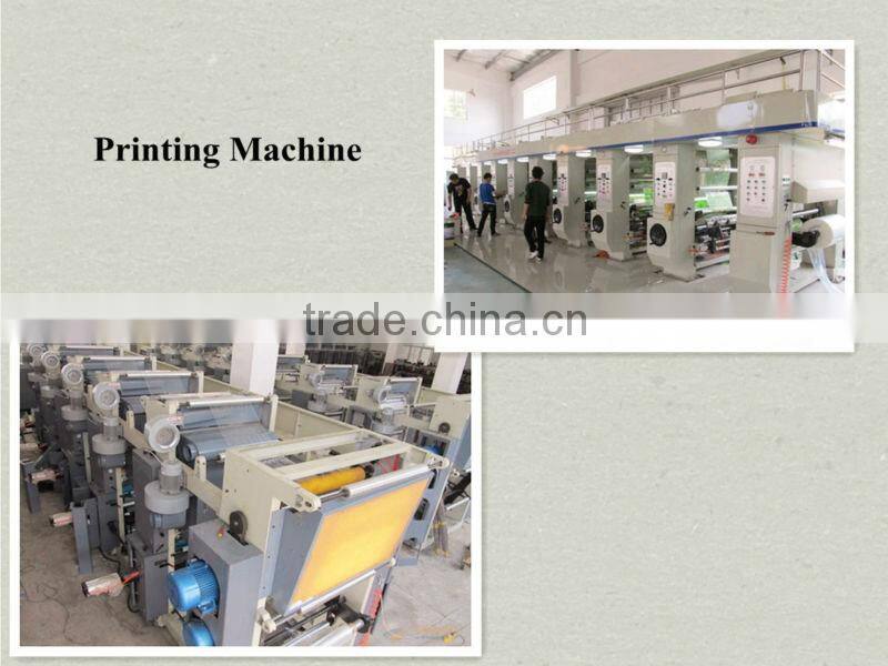 Ruian Huana High Quality Plastic Bag Printing Press