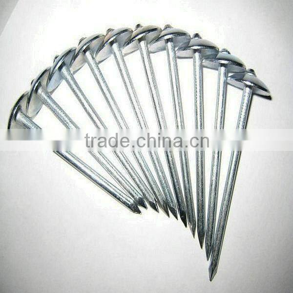corrugated roofing nails