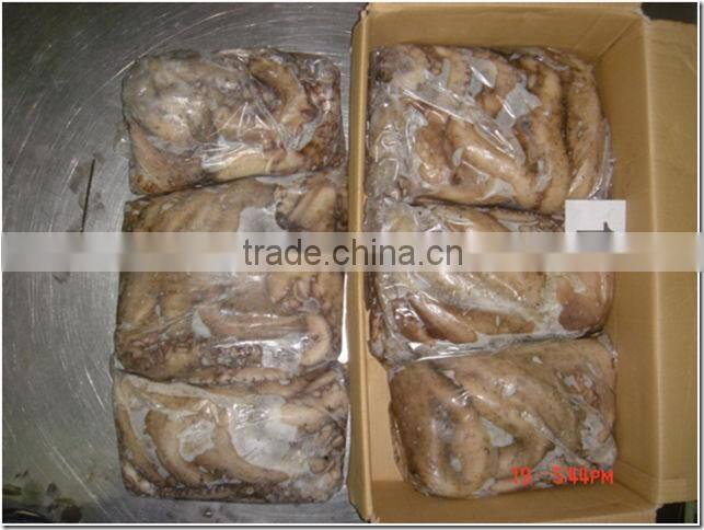 Seafrozen Octopus Whole Round from Morocco