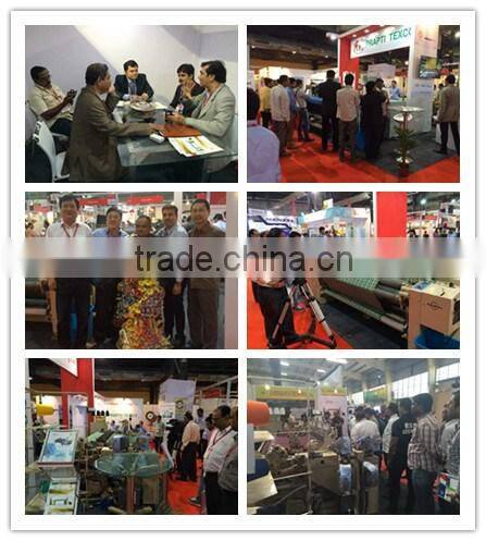 Electronic Dobby for Rapier Loom