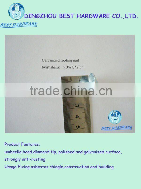 9gauge galvanized umbrella head ring shank roofing nail