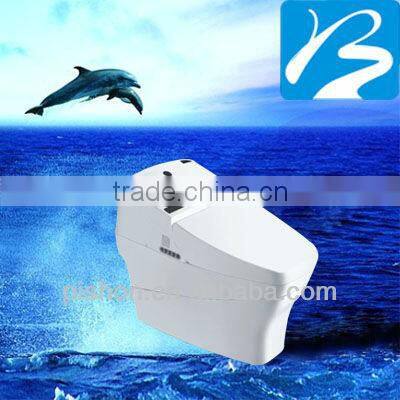 Export Ceramic Bathroom Intelligent Toilet