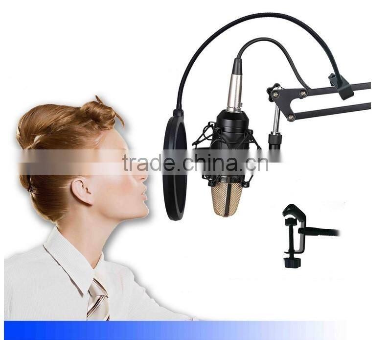 Metal Gooseneck Microphone Windshield Double Mesh , Broadcast Microphone Windscreen For Noise Filter