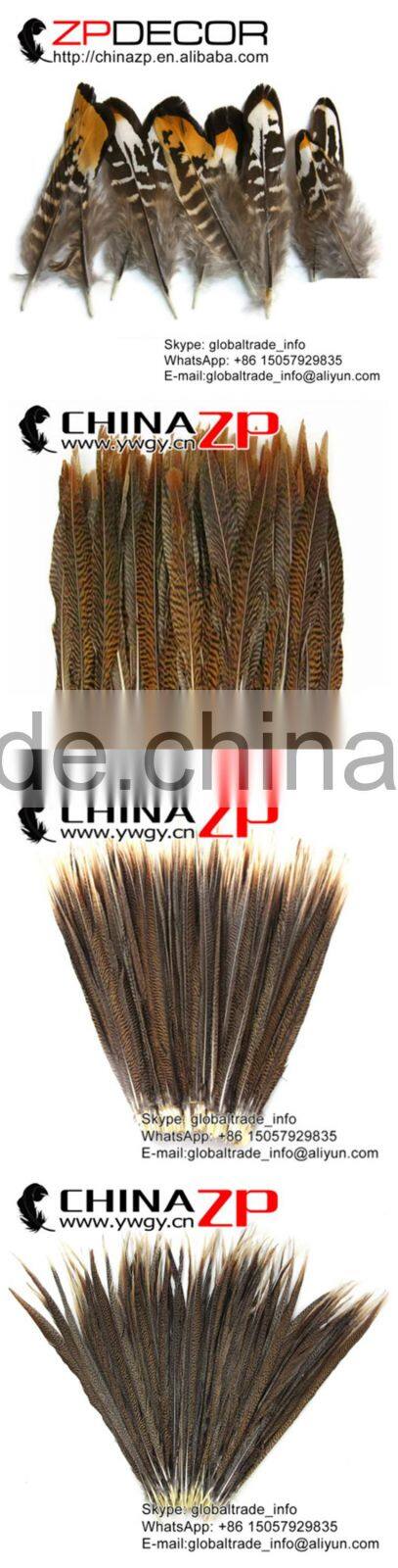ZPDECOR Factory Wholesale Leading Selling Natural 15cm-20cm Golden Pheasant Tail Feathers for Carnivals