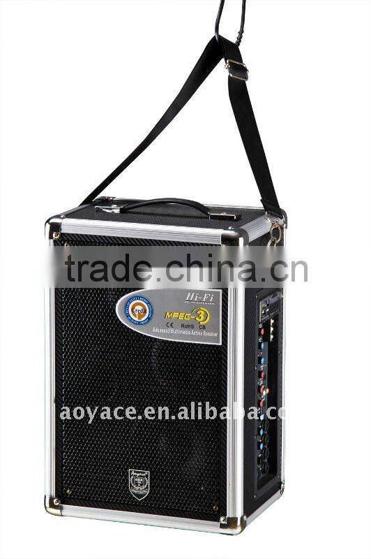 10" portable speaker