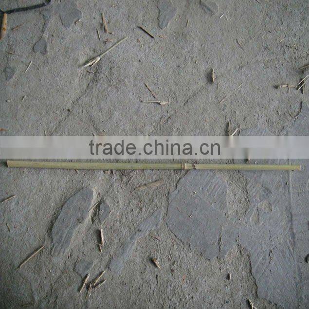 bamboo used in agricultural products