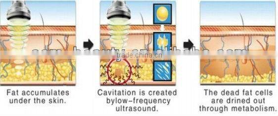 2016 Latest Cavitation Body shaping Beauty Equipment