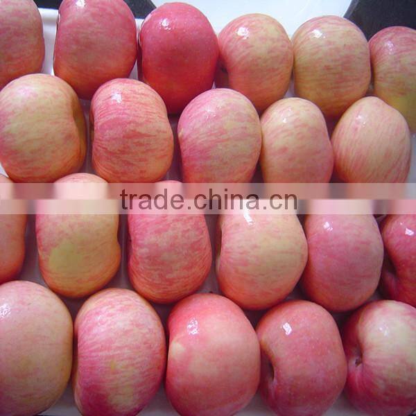 china fresh fuji apples