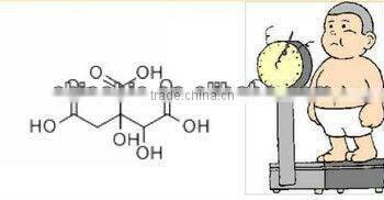 GMP manufacturer supply high quality and natural Garcinia Cambogia Extract Powder 50% 60% HCA