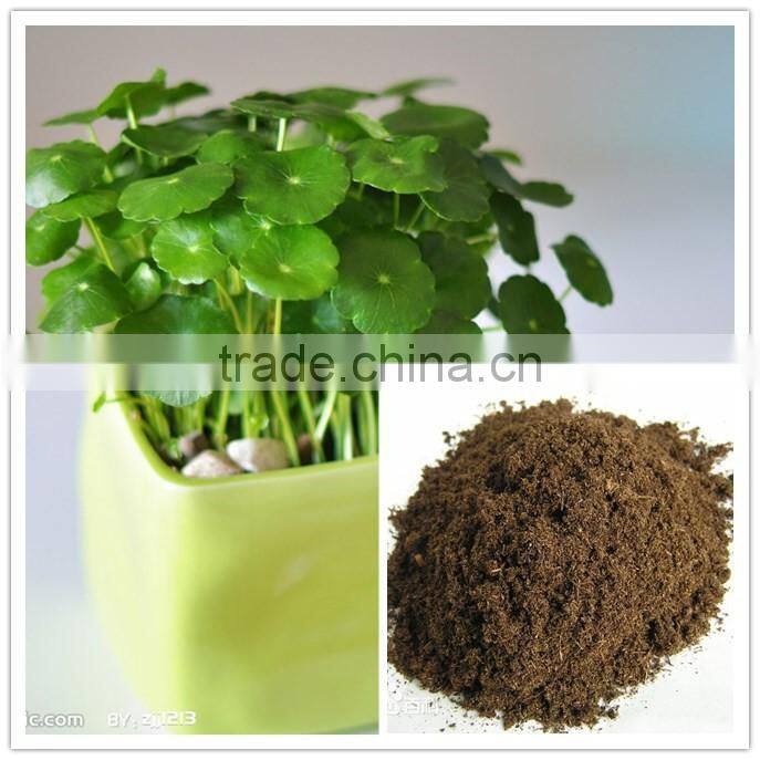 substrate peat moss for Garden Application