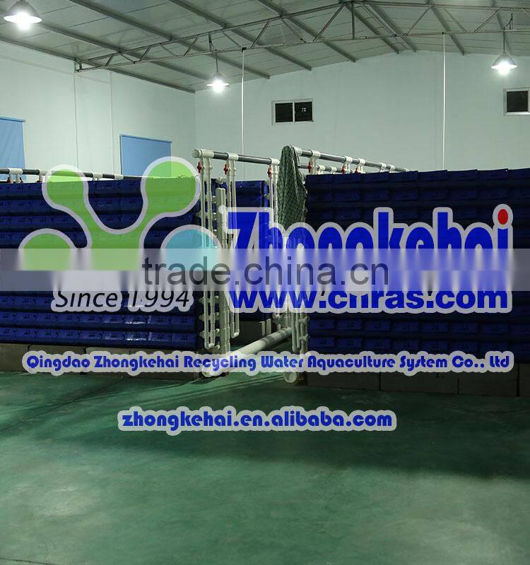 zhongkehai3-D indoor recirculating aquaculture mud crab breed