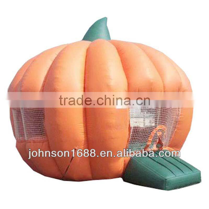 2013 Inflatable playground