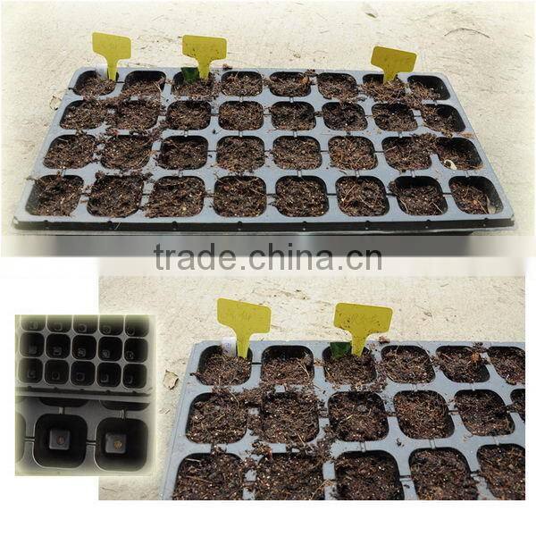 New coming excellent quality low price black seedling plug tray