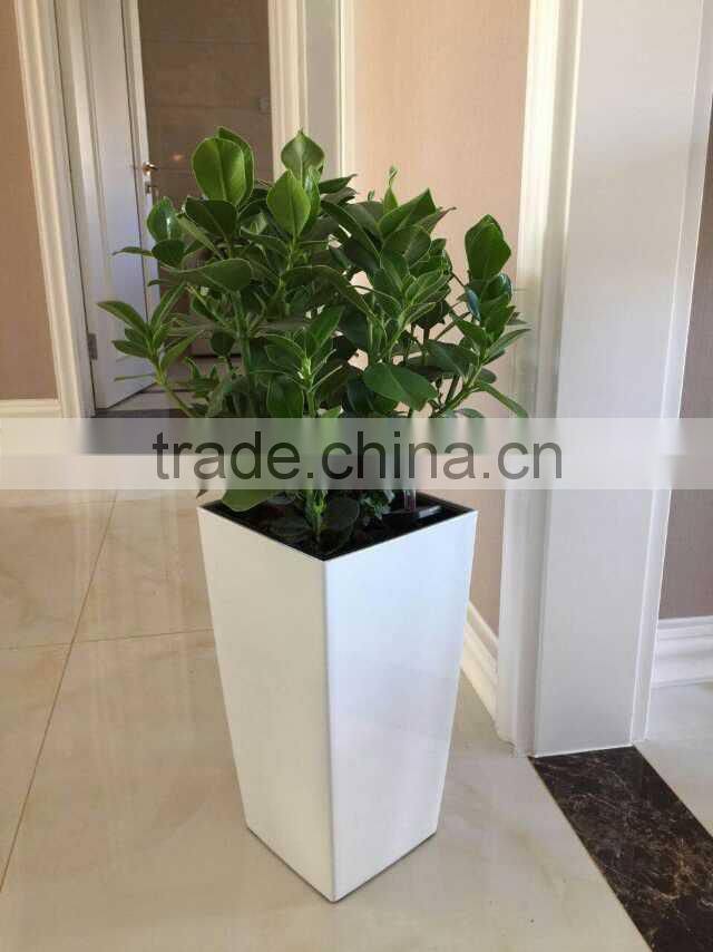 2015 salable tall vase,large square flowerpot,home & garden decoration