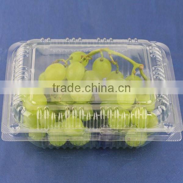 2016 China Hot Sale PET plastic fruit packaging clamshell tray