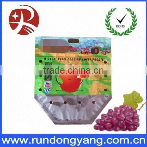 Stand Up Pouch Fruit packaging bag with handle