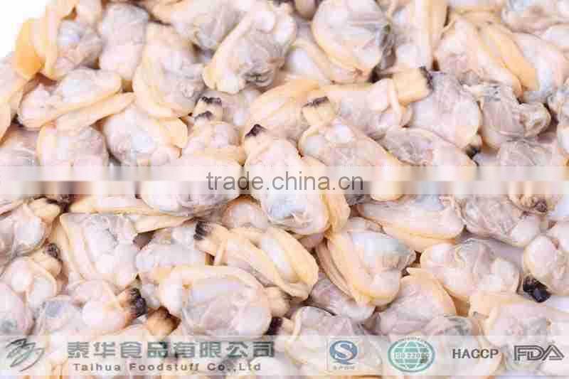 Sand and chemical free new boiled clam meat for sale
