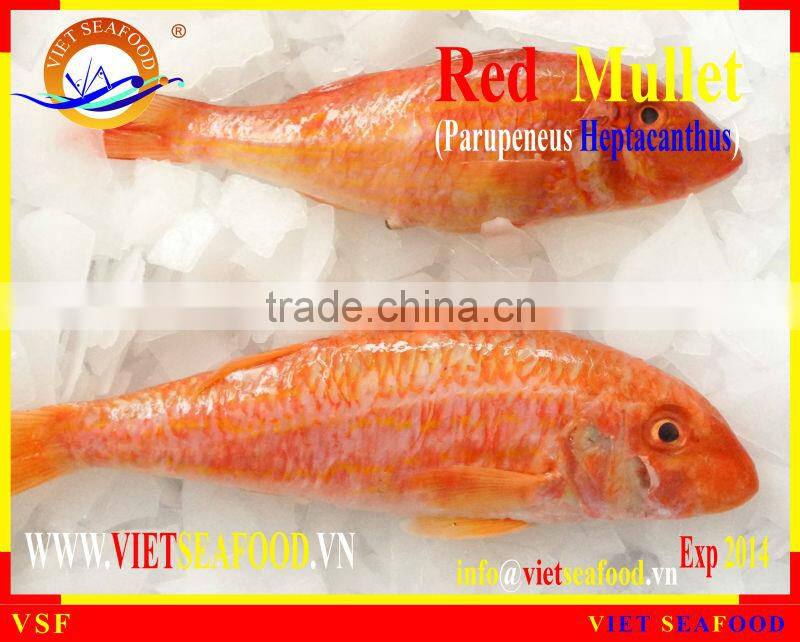 WHOLE ROUND FROZEN RED MULLET