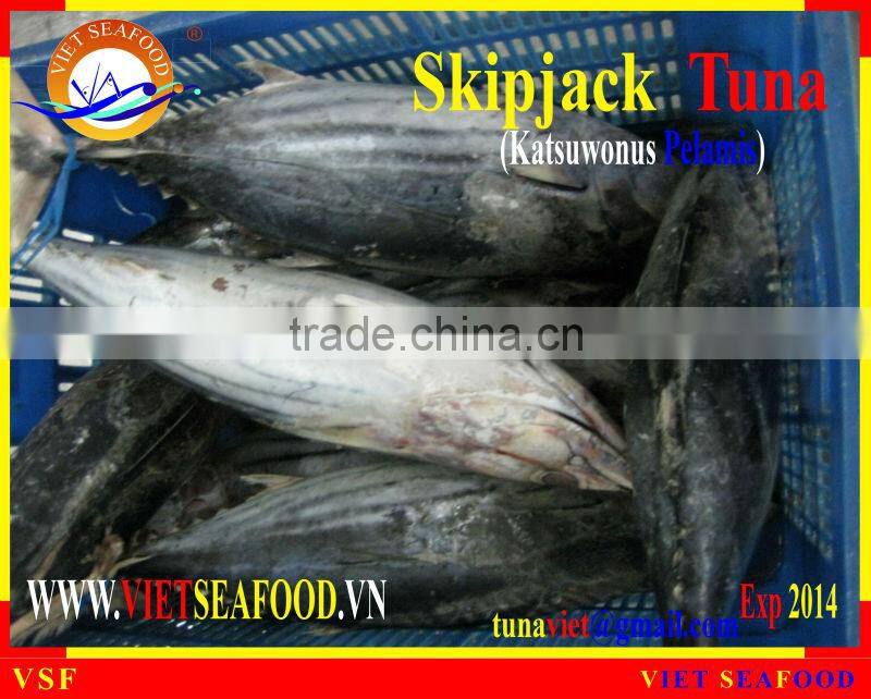 FROZEN W/R SKIPJACK TUNA