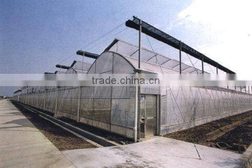 Easy assembled comericial poultry breeding greenhouse