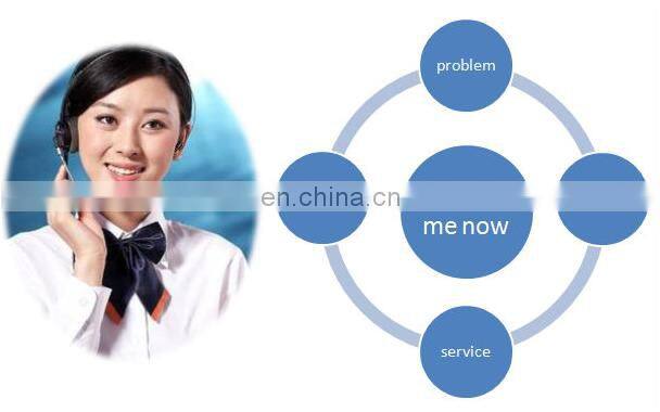 Cheap Inflatable Sky Tube Oxford Material Red Air Dancer, Double Legs Air Dancers For Sale