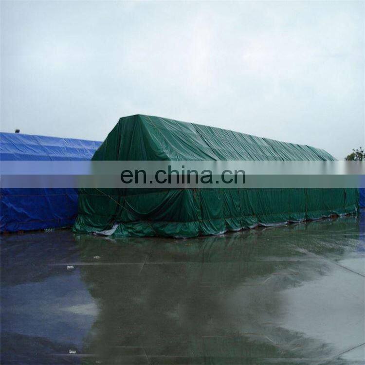 Blue PVC Tarpaulin Professional Experience