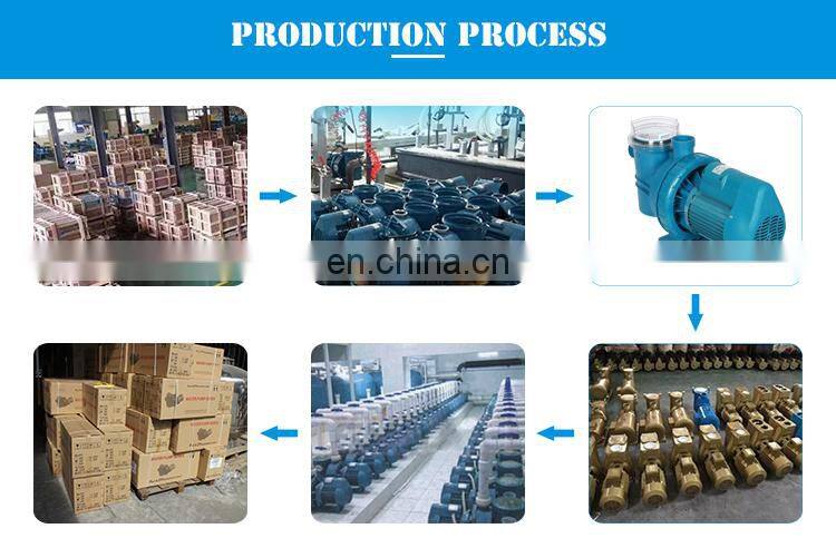 1HP Pump Above Ground Swimming Pool Filter 220v Electric Swimming Pool Filter Pump