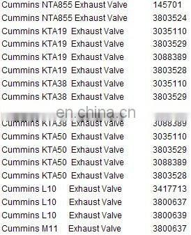 Cummins diesel engine intake valve 4955239 M11