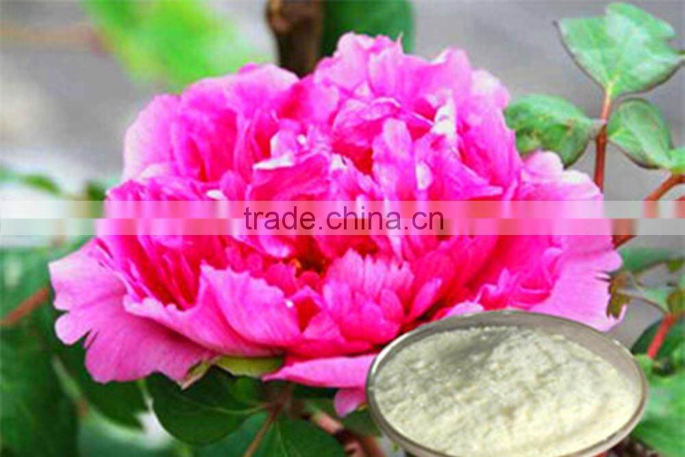 high quality paeonol 98%CAS NO.:552-41-0
