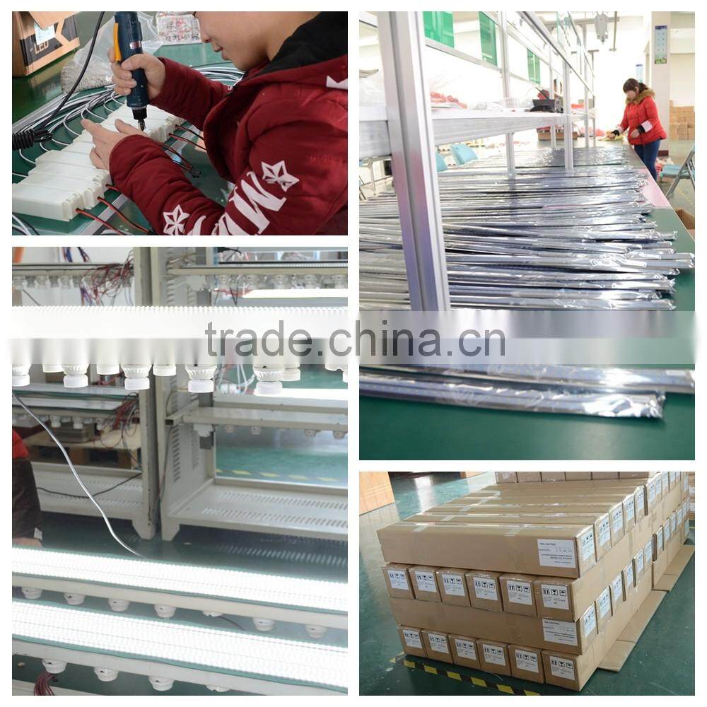 High lumen 5 years warranty LED Canopy Light