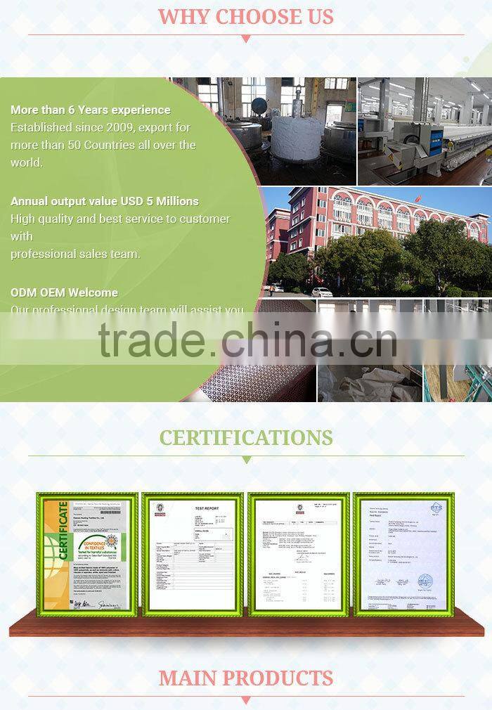 Widentextile High Production Capacity Hot Selling Fashionable High Quality Cheap Mesh Fabric