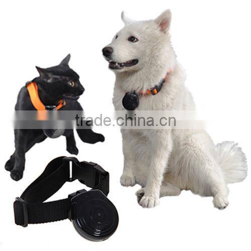 2015 most popular MD1113 mini digital pet camera