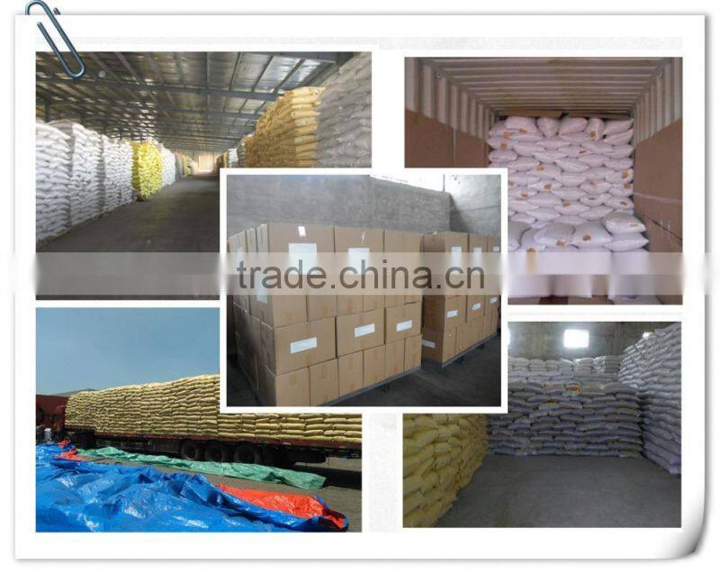 pumkin seeds, wholesale seeds