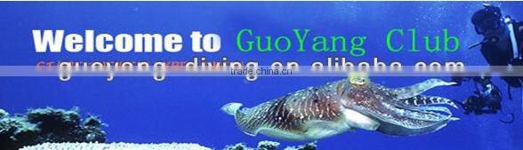 spear fishing diving equipment of regulator