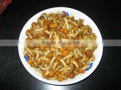 Nice Recipes Canned Nakemo Mushroom In Brine