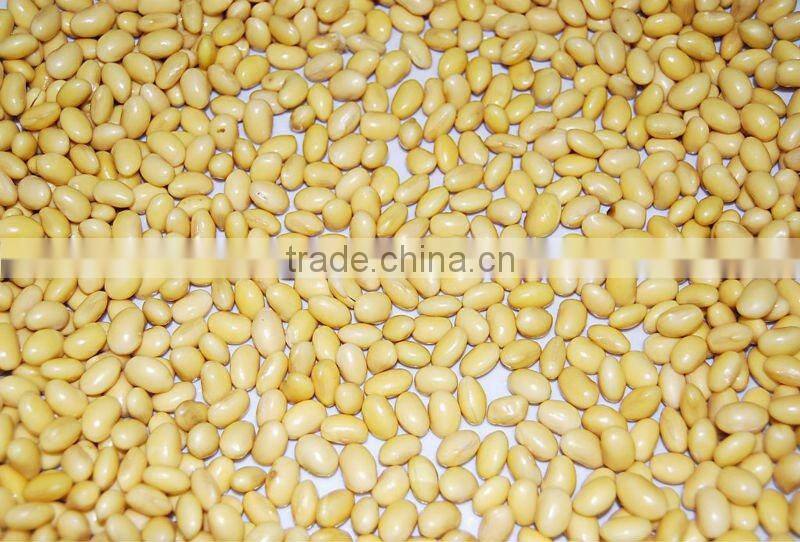 Canned Food Chilli Cheap Baked Beans In Tomato Sauce Canned Food