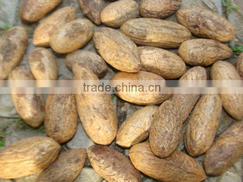 Hot Sale HIgh Quality Gum Arabic