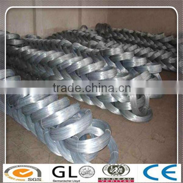 Electro Galvanized Iron Wire/Galvanized Iron Wire for Binding Use