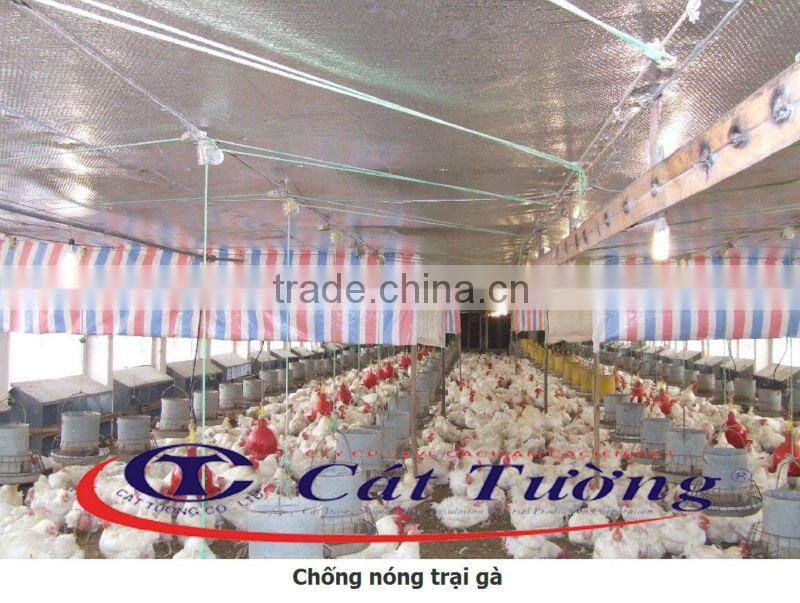 A2 Cat Tuong Sound Heat Insulation with bubble air and double sided aluminum reflective foils from Vietnam