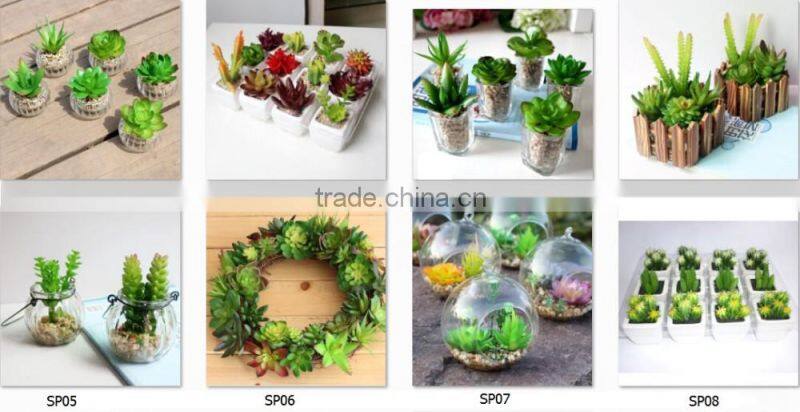 Export Succulent Plants Artificial Succulent Plants Bonsai Succulent Plants