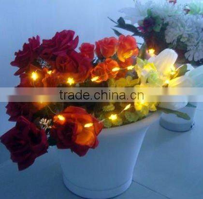 Outdoor Decoration Christmas Lights LED