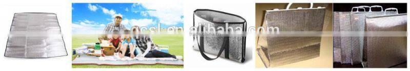 Aluminum foil laminated epe or xpe foam heat insulation construction materials