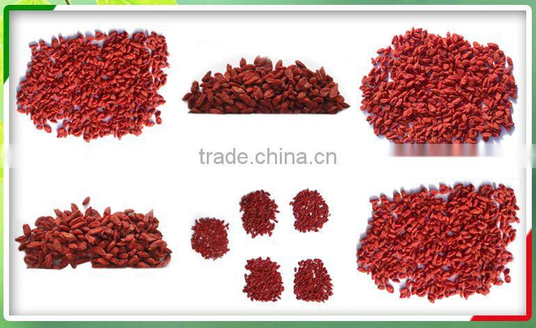 Harvest dried certified goji berries