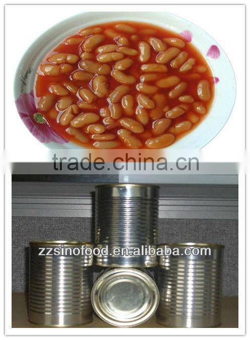 Canned White Kidney Beans in tomato sauce Manufacturer